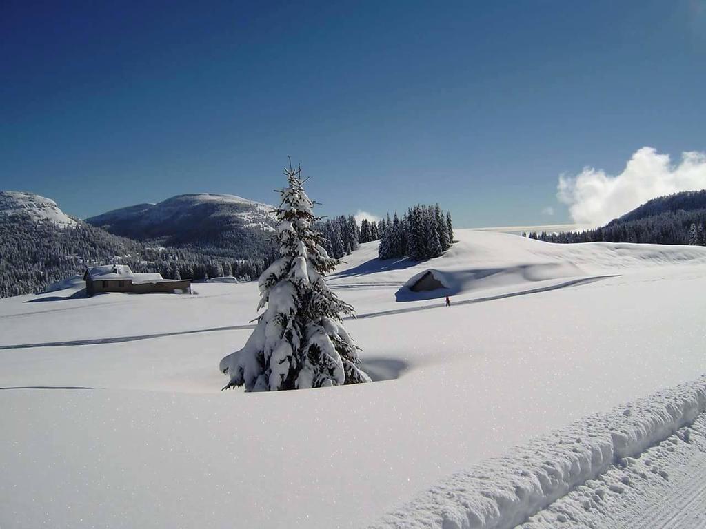Caminetto Mountain Resort Lavarone Esterno foto